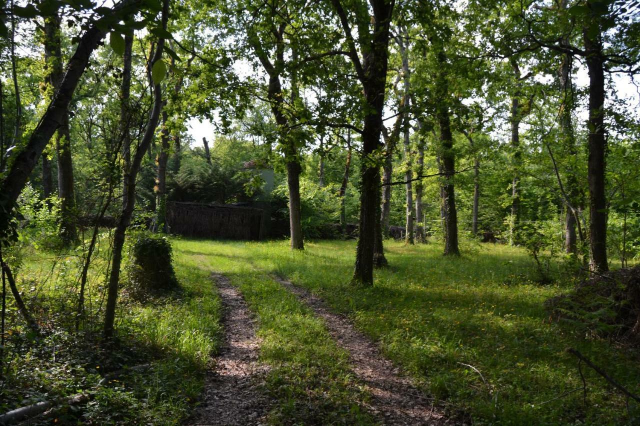Villa Ferme de Mouline à Sainte-Foy-la-Longue Extérieur photo